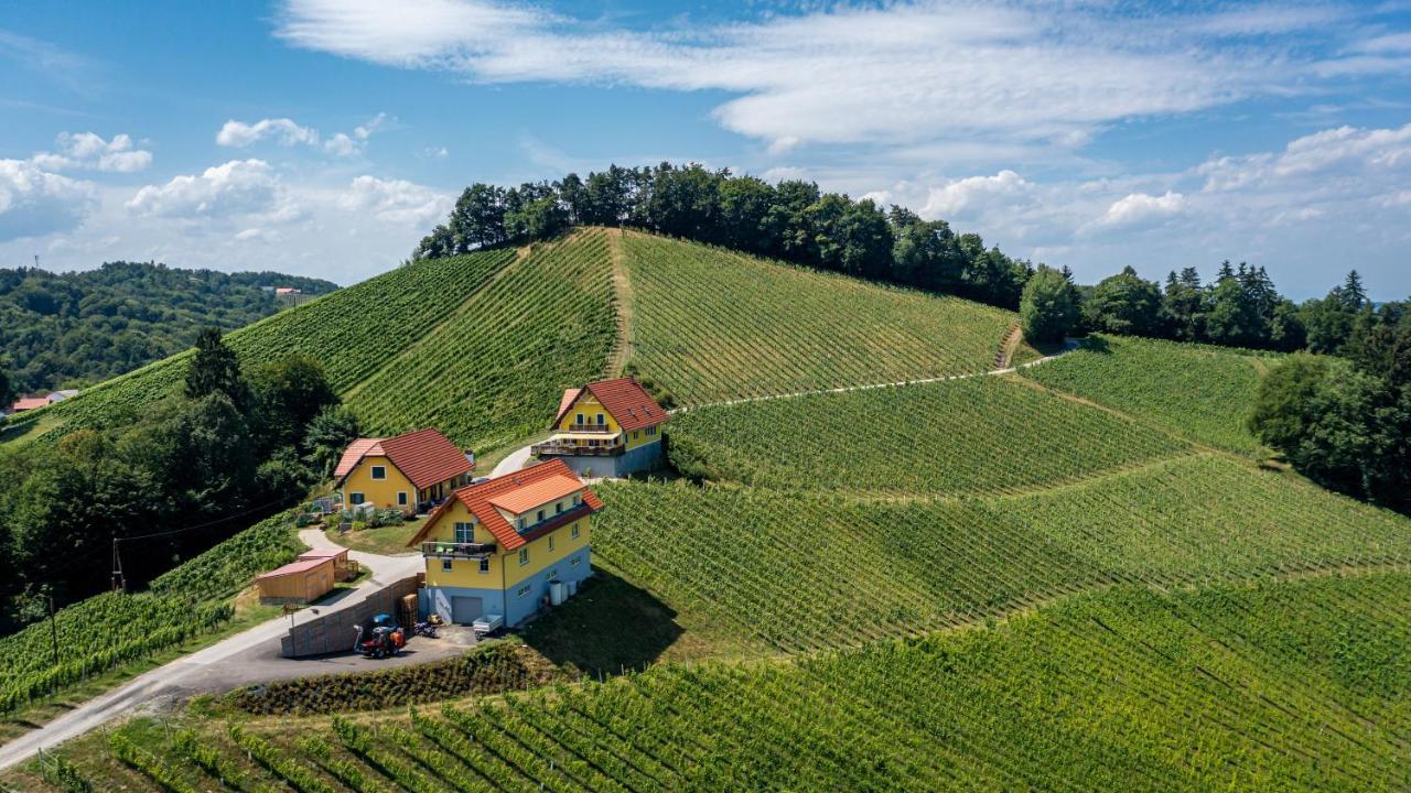 Weingut-Gaestehaus Birnstingl Gamlitz Extérieur photo