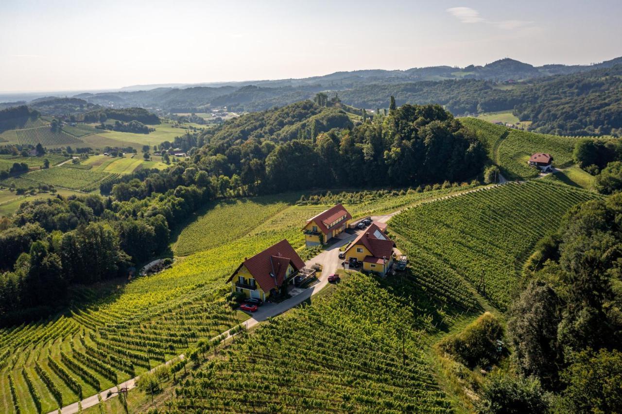 Weingut-Gaestehaus Birnstingl Gamlitz Extérieur photo